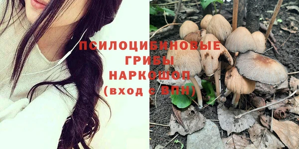 крисы Няндома