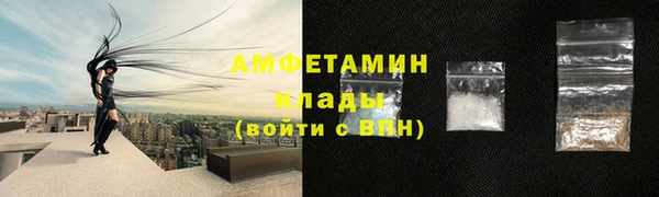 крисы Няндома