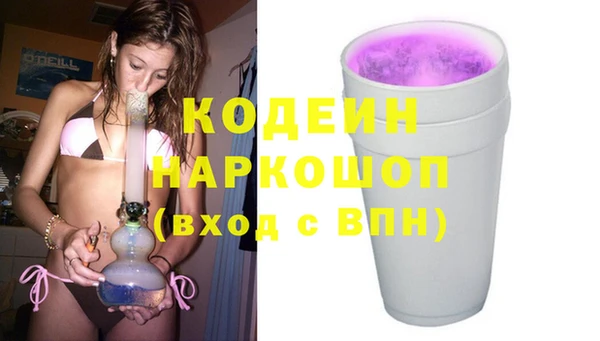 крисы Няндома