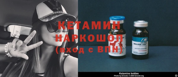 крисы Няндома