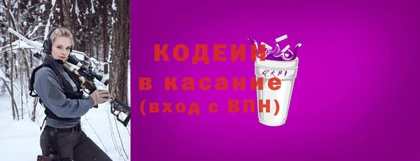 крисы Няндома