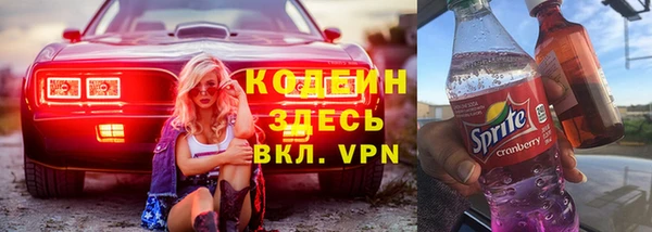 крисы Няндома