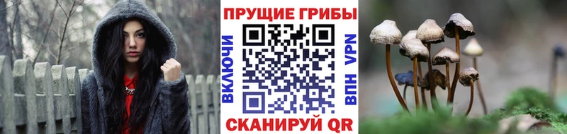 Псилоцибиновые грибы GOLDEN TEACHER  мориарти состав  Туран 